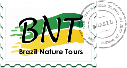 tour panoramico brasilia