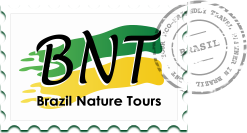 brazil amazon rainforest tours