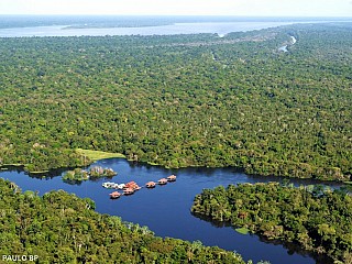 visit amazon rainforest brazil