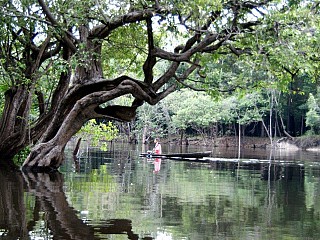 tours amazonas brasil