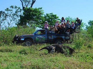 pantanal tours