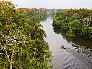 tours amazonas brasil