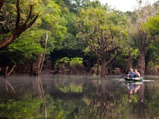 tours amazonas brasil