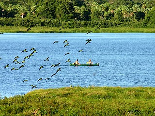 brazil pantanal tour