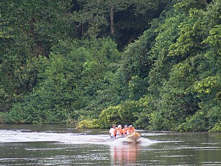 pantanal tours