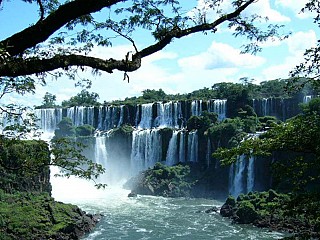 Packages and Wildlife Tours Brazil | Brazil Nature