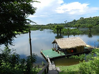 visit amazon rainforest brazil