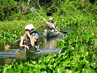 brazil pantanal tour