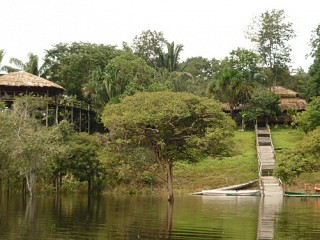 visit amazon rainforest brazil