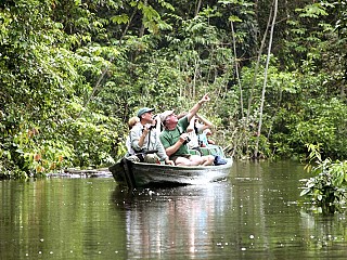 visit amazon rainforest brazil