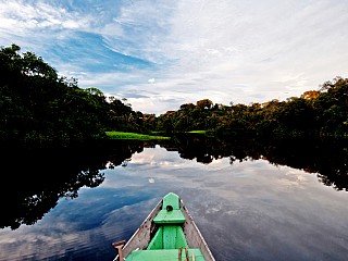 tours amazonas brasil