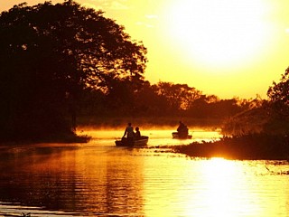 brazil pantanal tour