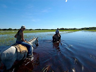 pantanal tours