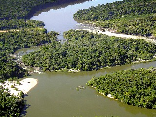 brazil amazon tours from rio