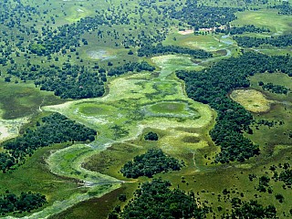 brazil pantanal tour