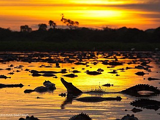 pantanal tours