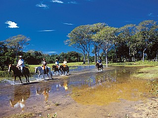 brazil pantanal tour