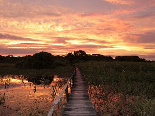 pantanal tours