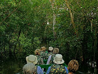 visit amazon rainforest brazil