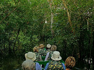 brazil amazon rainforest tours