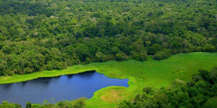 visit amazon rainforest brazil