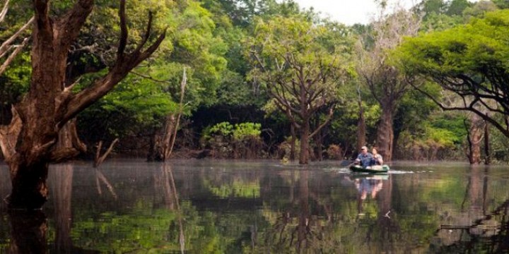 brazil nature tours tripadvisor