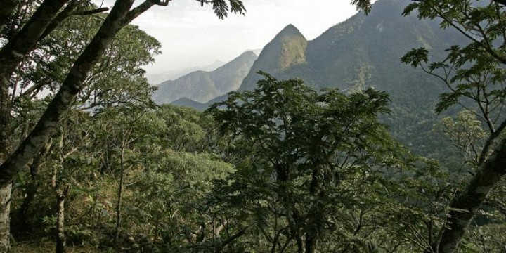 Tours in the Atlantic Rainforest - Rio Grande do Norte, Brazil