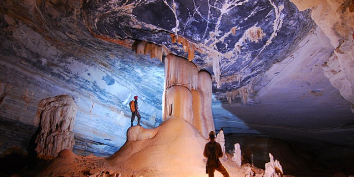 Help in the farm and nursery activities in Chapada Diamantina, Bahia