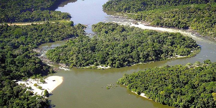 brazil nature tours tripadvisor