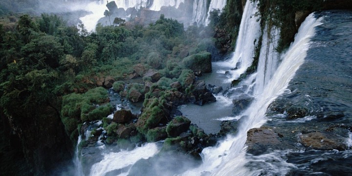 brazil nature tours tripadvisor